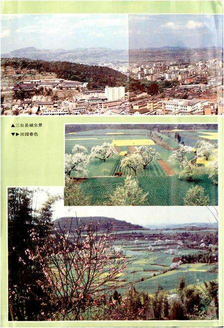 《三台县志》.pdf电子版_四川省志预览图4