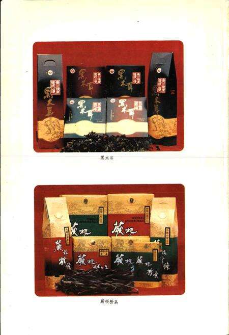 《青川县志》.pdf电子版_四川省志预览图5
