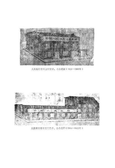 《青川县金融志》.pdf电子版_四川省志预览图3
