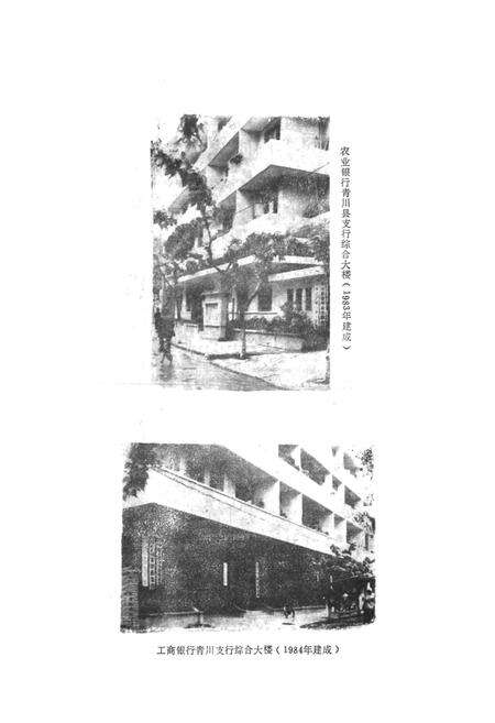 《青川县金融志》.pdf电子版_四川省志预览图4