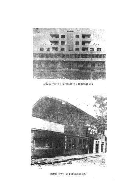 《青川县金融志》.pdf电子版_四川省志预览图5