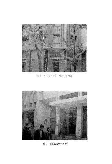 《青川县供销合作志》.pdf电子版_四川省志预览图4