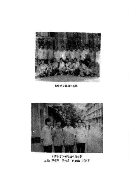 《青川县畜牧志》.pdf电子版_四川省志预览图3