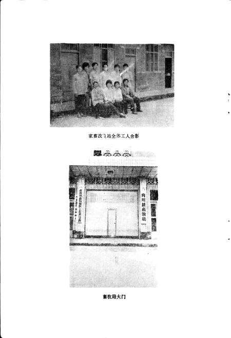 《青川县畜牧志》.pdf电子版_四川省志预览图4