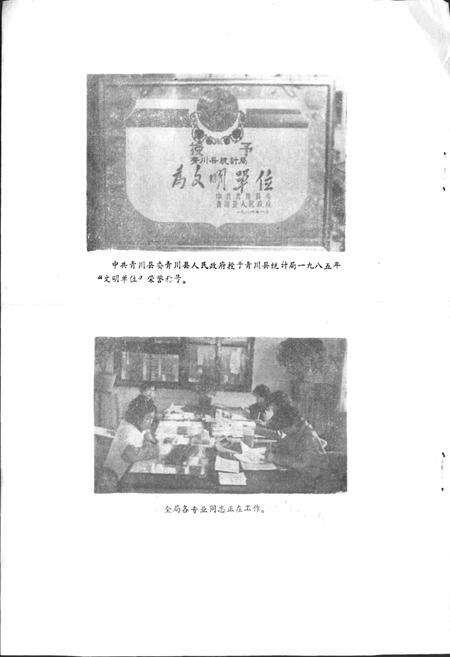 《青川县统计志》.pdf电子版_四川省志预览图5