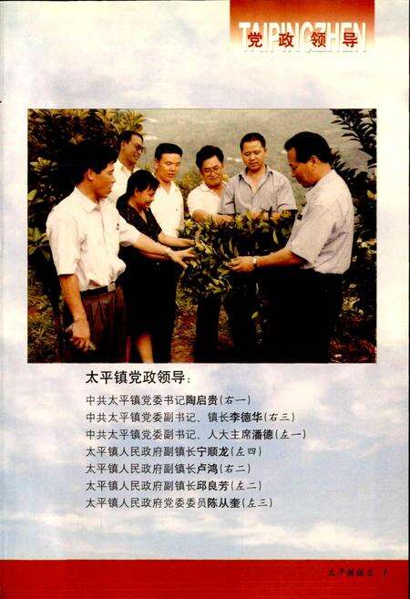 《双流县太平镇志（续编）》.pdf电子版_四川省志预览图2