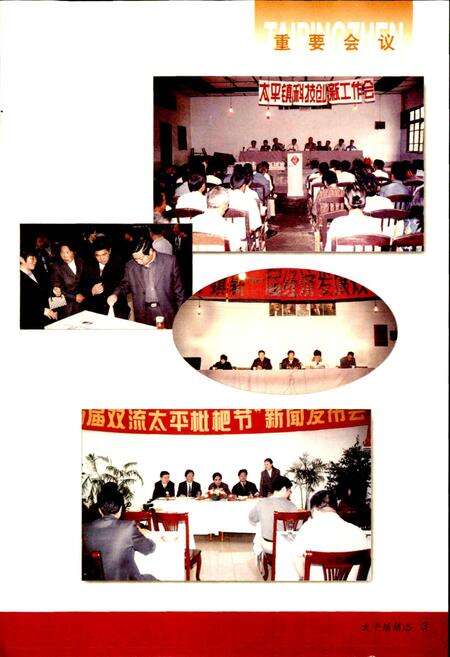 《双流县太平镇志（续编）》.pdf电子版_四川省志预览图4