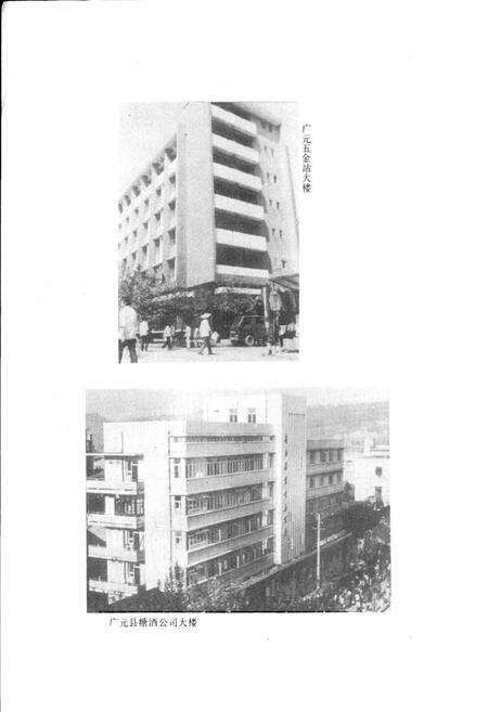 《广元县商业志》.pdf电子版_四川省志预览图4