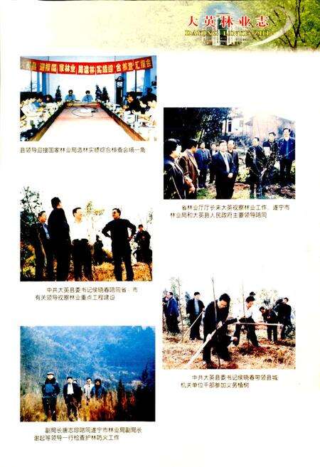 《大英林业志》.pdf电子版_四川省志预览图5