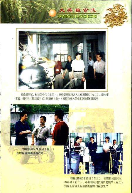 《大英粮食志》.pdf电子版_四川省志预览图5