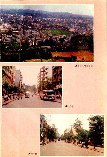 《南部县志》.pdf电子版_四川省志预览图5