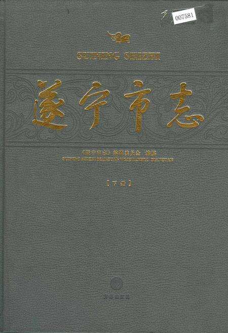 《遂宁市志（下册）》.pdf电子版_四川省志缩略图