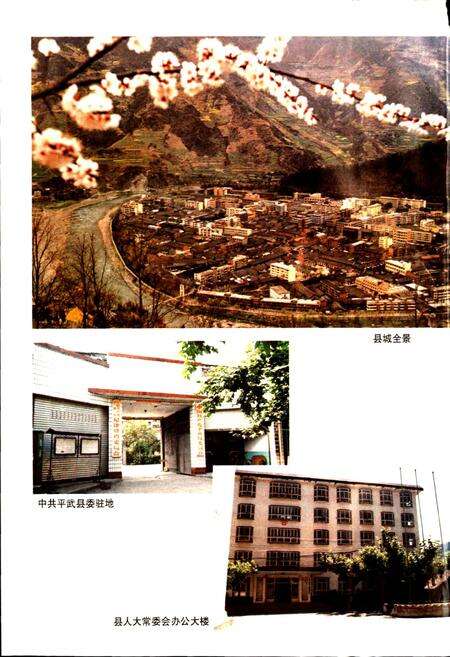 《平武县志》.pdf电子版_四川省志预览图5