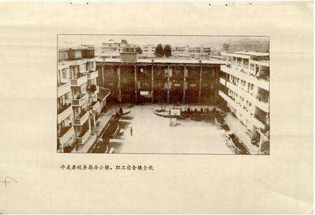 《平武县税务志》.pdf电子版_四川省志预览图5