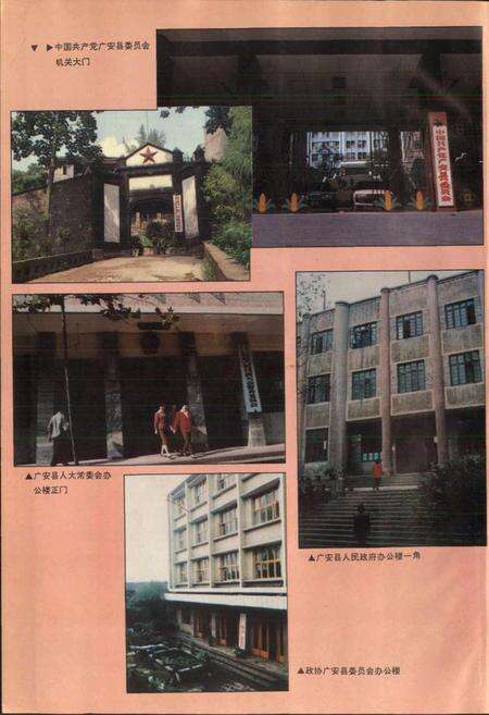 《广安县志》.pdf电子版_四川省志预览图5