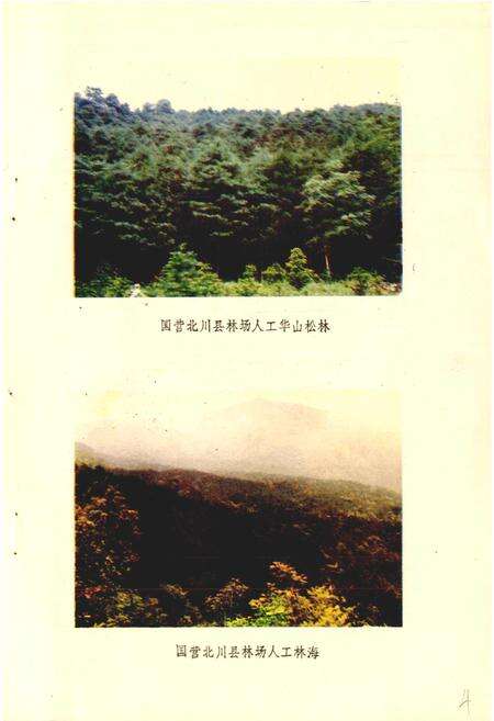 《北川县志 林业志》.pdf电子版_四川省志预览图5