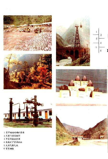 《绵竹县志》.pdf电子版_四川省志预览图4