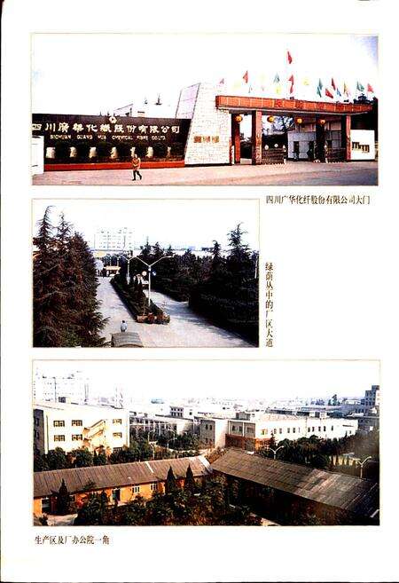 《广华公司志》.pdf电子版_四川省志预览图4