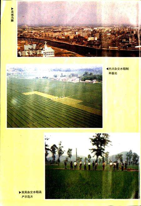 《中江县志》.pdf电子版_四川省志预览图4