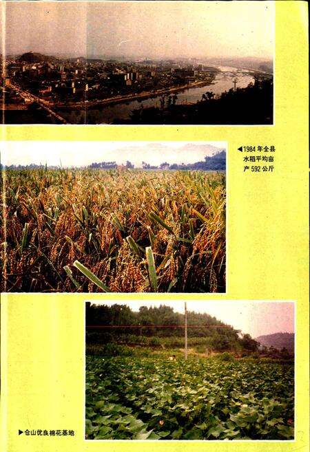 《中江县志》.pdf电子版_四川省志预览图5