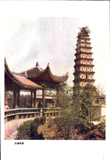 《南充县交通志》.pdf电子版_四川省志预览图3