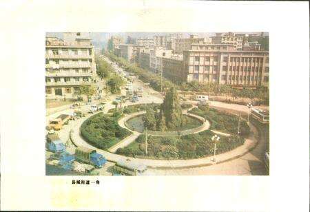 《南充县交通志》.pdf电子版_四川省志预览图4