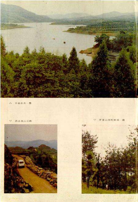 《营山县志》.pdf电子版_四川省志预览图4