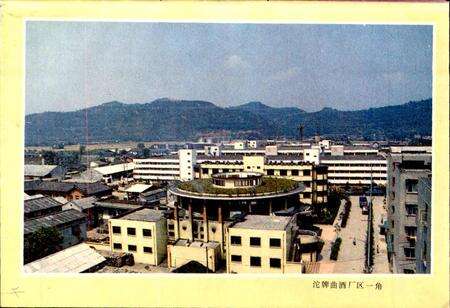 《沱牌曲酒厂志》.pdf电子版_四川省志预览图4