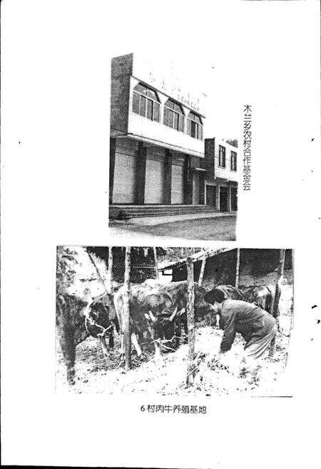 《木兰乡志》.pdf电子版_四川省志预览图5