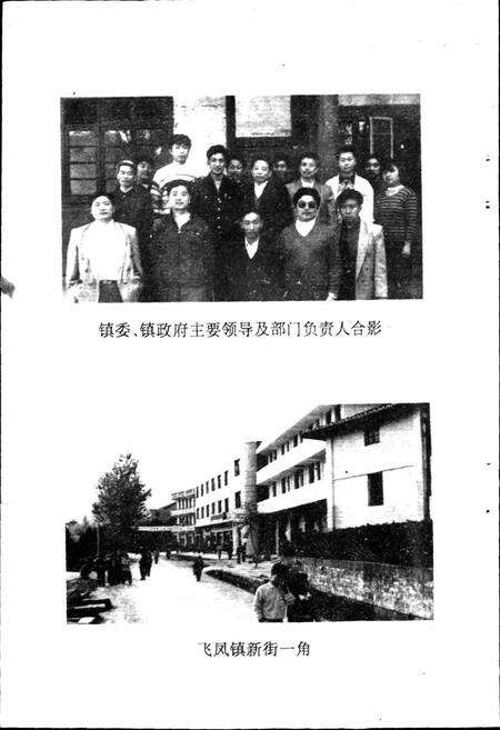 《飞凤镇志》.pdf电子版_四川省志预览图5