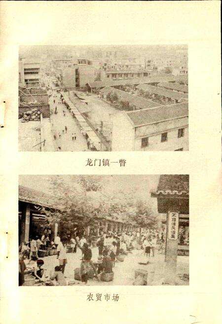 《龙门镇志》.pdf电子版_四川省志预览图3