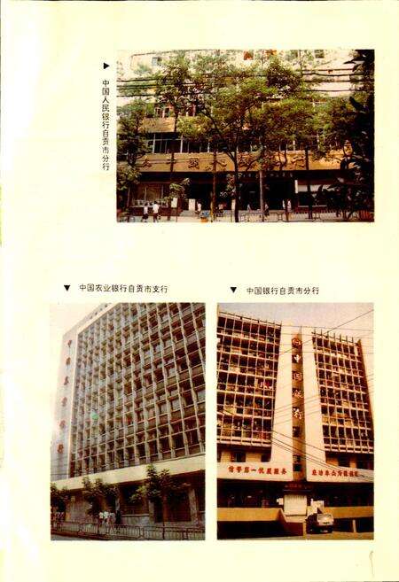 《自贡市金融志》.pdf电子版_四川省志预览图5