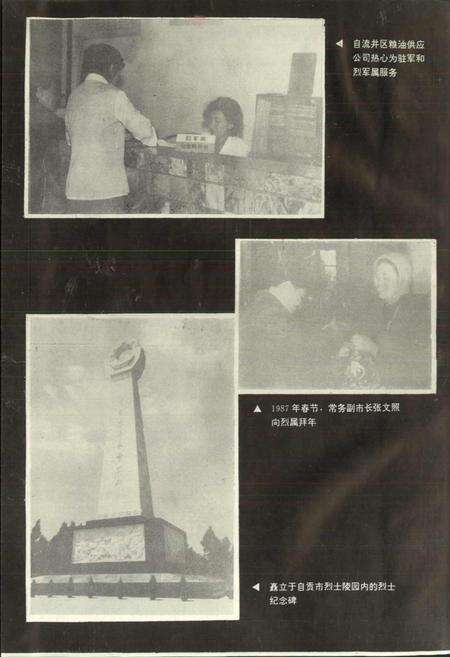 《自贡市民政志》.pdf电子版_四川省志预览图3