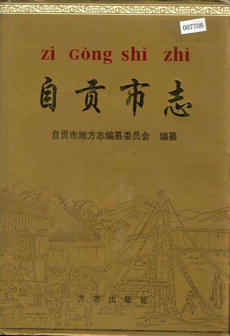 《自贡市志 上》.pdf电子版_四川省志缩略图