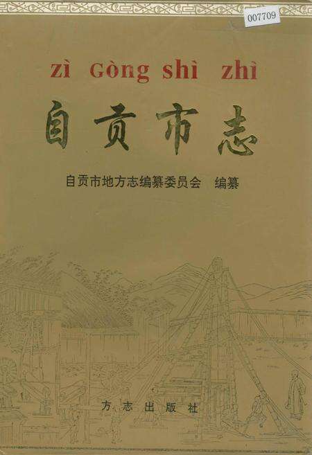 《自贡市志 下》.pdf电子版_四川省志缩略图