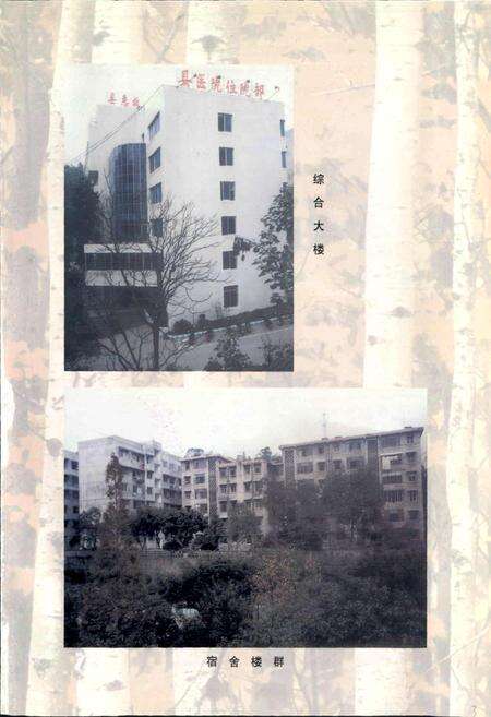 《犍为县人民医院志》.pdf电子版_四川省志预览图4