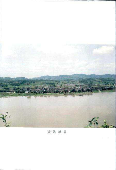 《新民镇志》.pdf电子版_四川省志预览图3