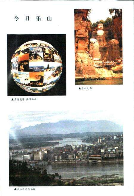 《乐山报业志》.pdf电子版_四川省志预览图2