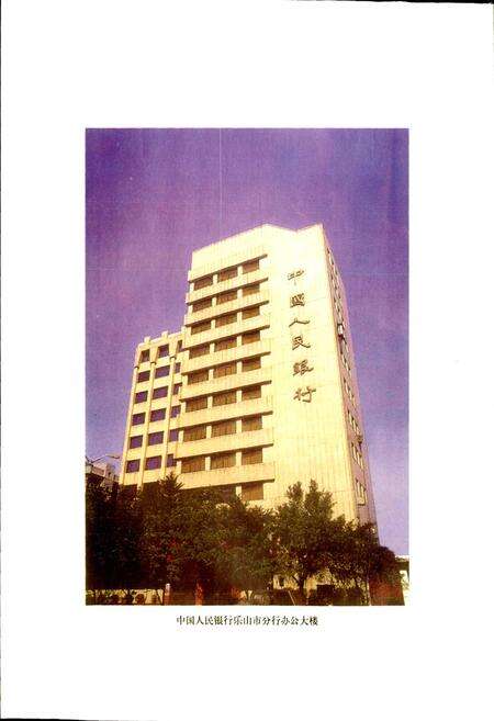 《乐山金融志》.pdf电子版_四川省志预览图3