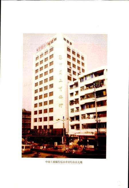 《乐山金融志》.pdf电子版_四川省志预览图4