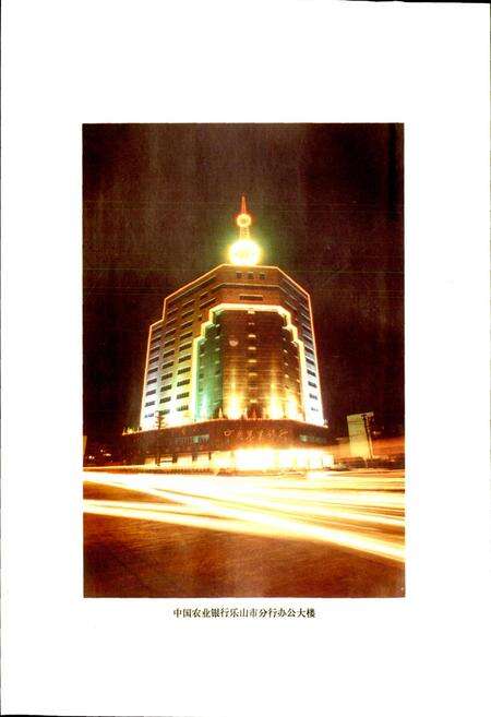 《乐山金融志》.pdf电子版_四川省志预览图5