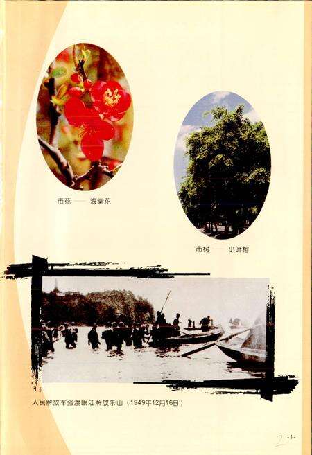 《乐山市志 上》.pdf电子版_四川省志预览图3