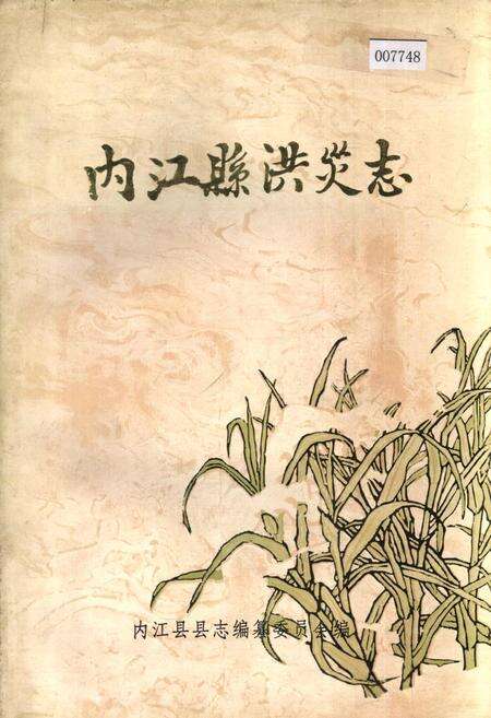 《内江县洪灾志》.pdf电子版_四川省志缩略图