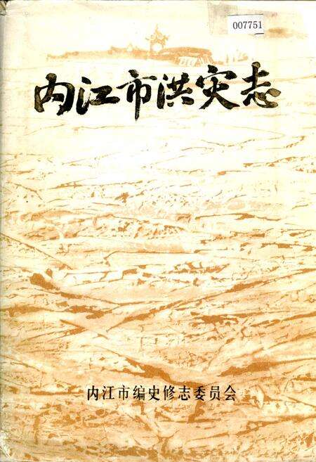 《内江市洪灾志》.pdf电子版_四川省志缩略图
