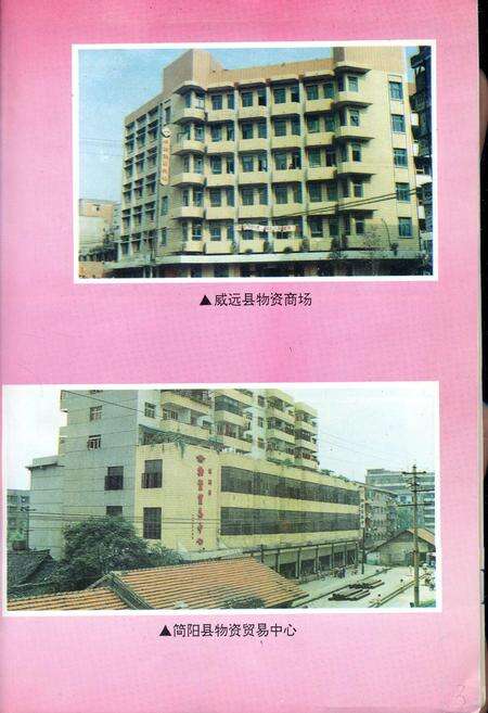 《内江地区物资志》.pdf电子版_四川省志预览图4