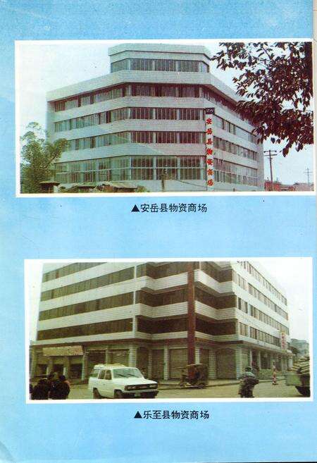《内江地区物资志》.pdf电子版_四川省志预览图5