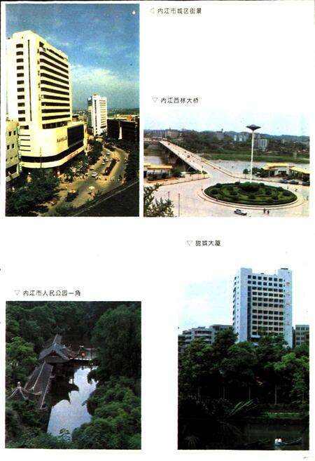《内江地区城乡建设志》.pdf电子版_四川省志预览图5