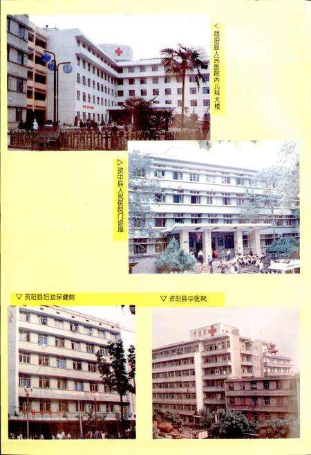 《内江地区卫生志》.pdf电子版_四川省志预览图3
