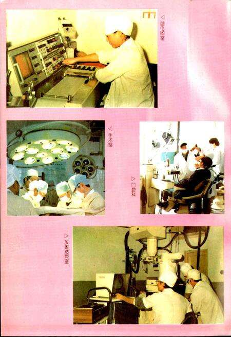 《内江地区卫生志》.pdf电子版_四川省志预览图5