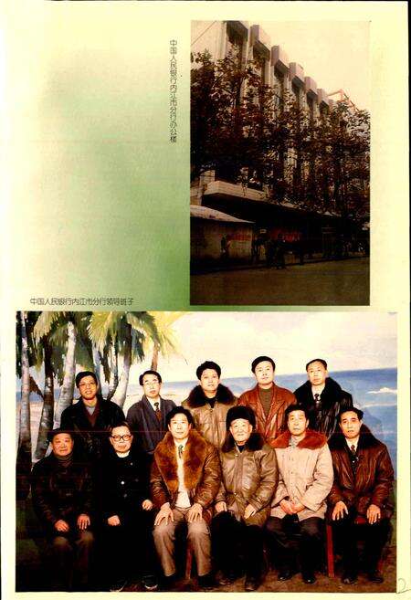 《内江地区金融志》.pdf电子版_四川省志预览图3